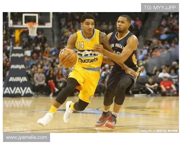 新浪体育NBA新闻频道导航与热门话题